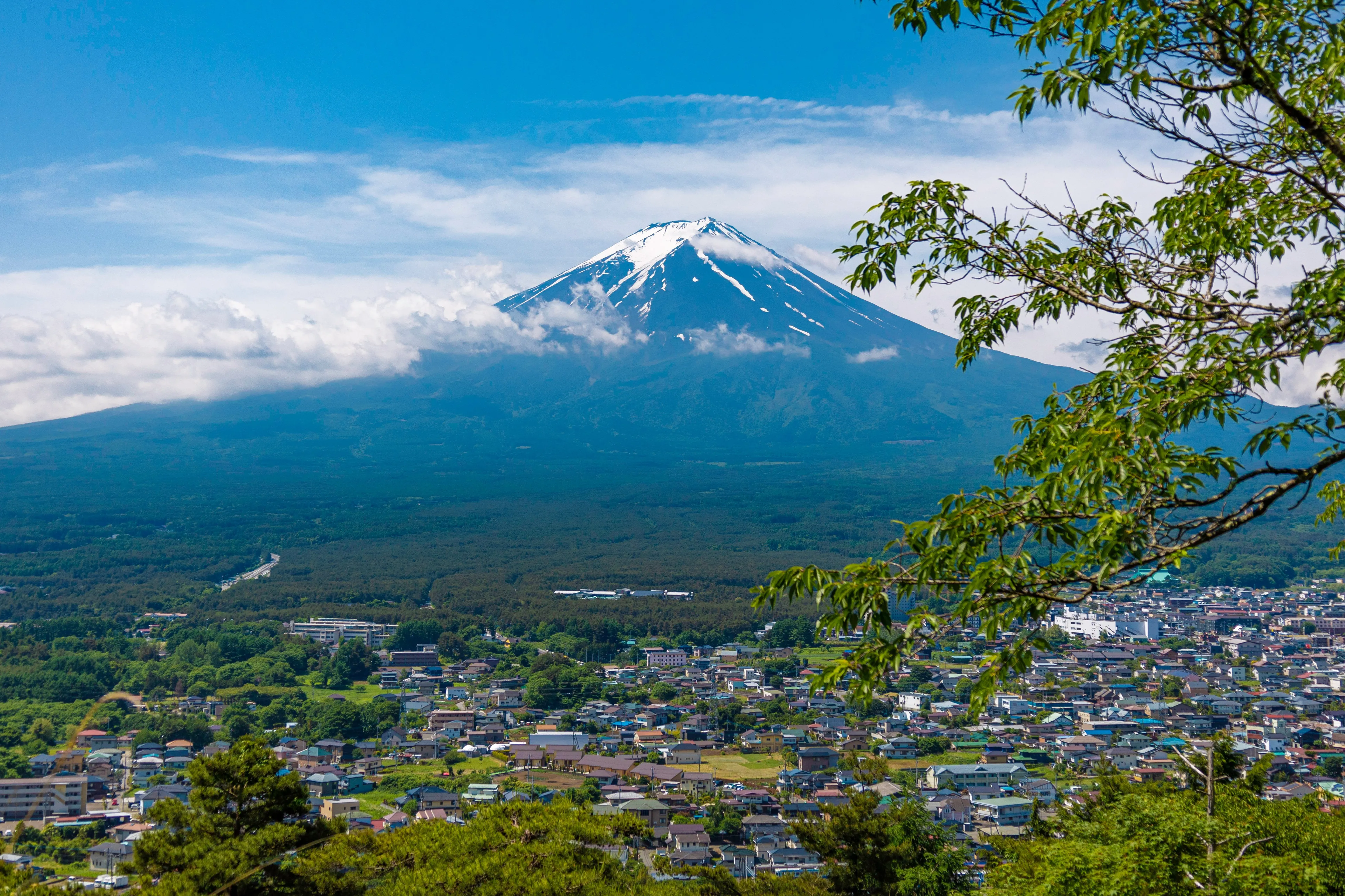 山梨 甲府校のご案内